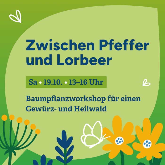 Mit dem Kopf in den Sand – Beetbauworkshop für ein Sandbeet