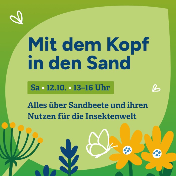Mit dem Kopf in den Sand – Alles über Sandbeete und ihren Nutzen für die Insektenwelt