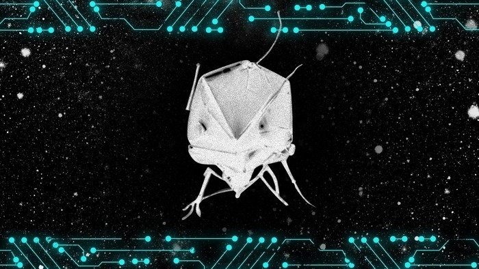 Ein Käfer, der Erinnerungen frisst (Hörspiel in 3D Sound)